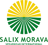 Salix Morava